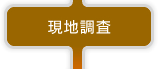現地調査