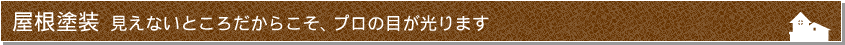 屋根塗装 見えないところだからこそ、プロの目が光ります
